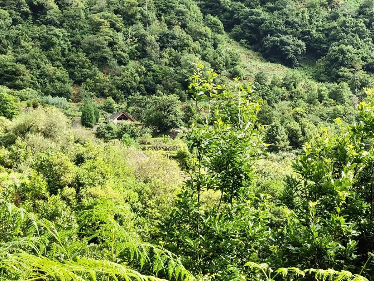 شاليه فيلا Chale Jardim De Cima São Vicente البرتغال